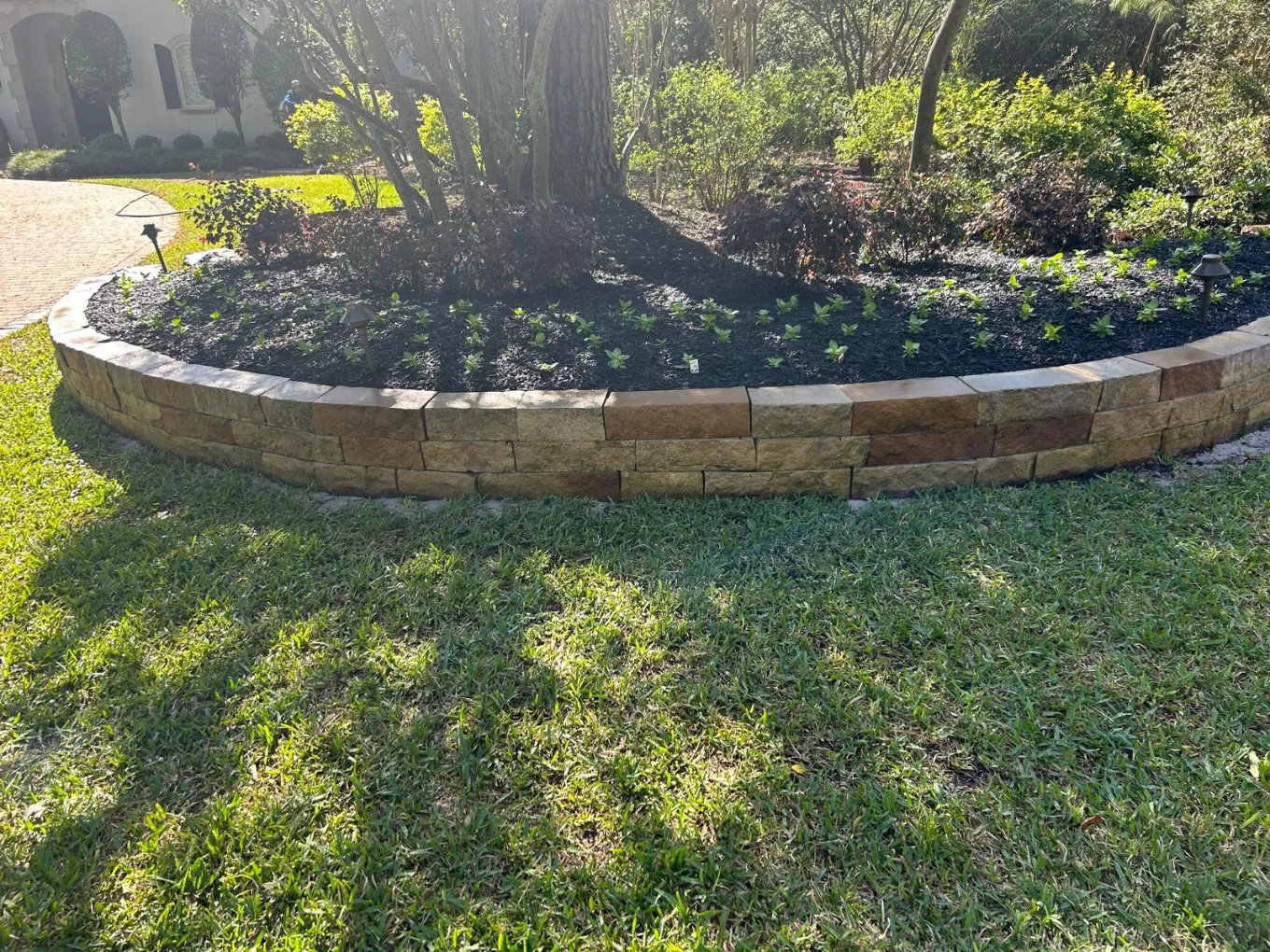 Longoria Landscaping